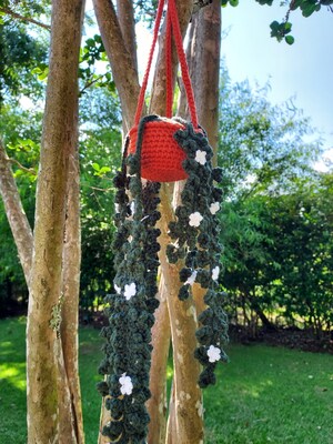 Crochet Hanging Plant - image1